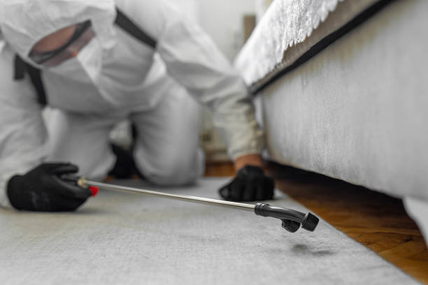 Professional Pest Control technician working in Chenango County County, NY